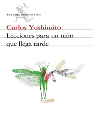 cover image of Lecciones para un niño que llega tarde